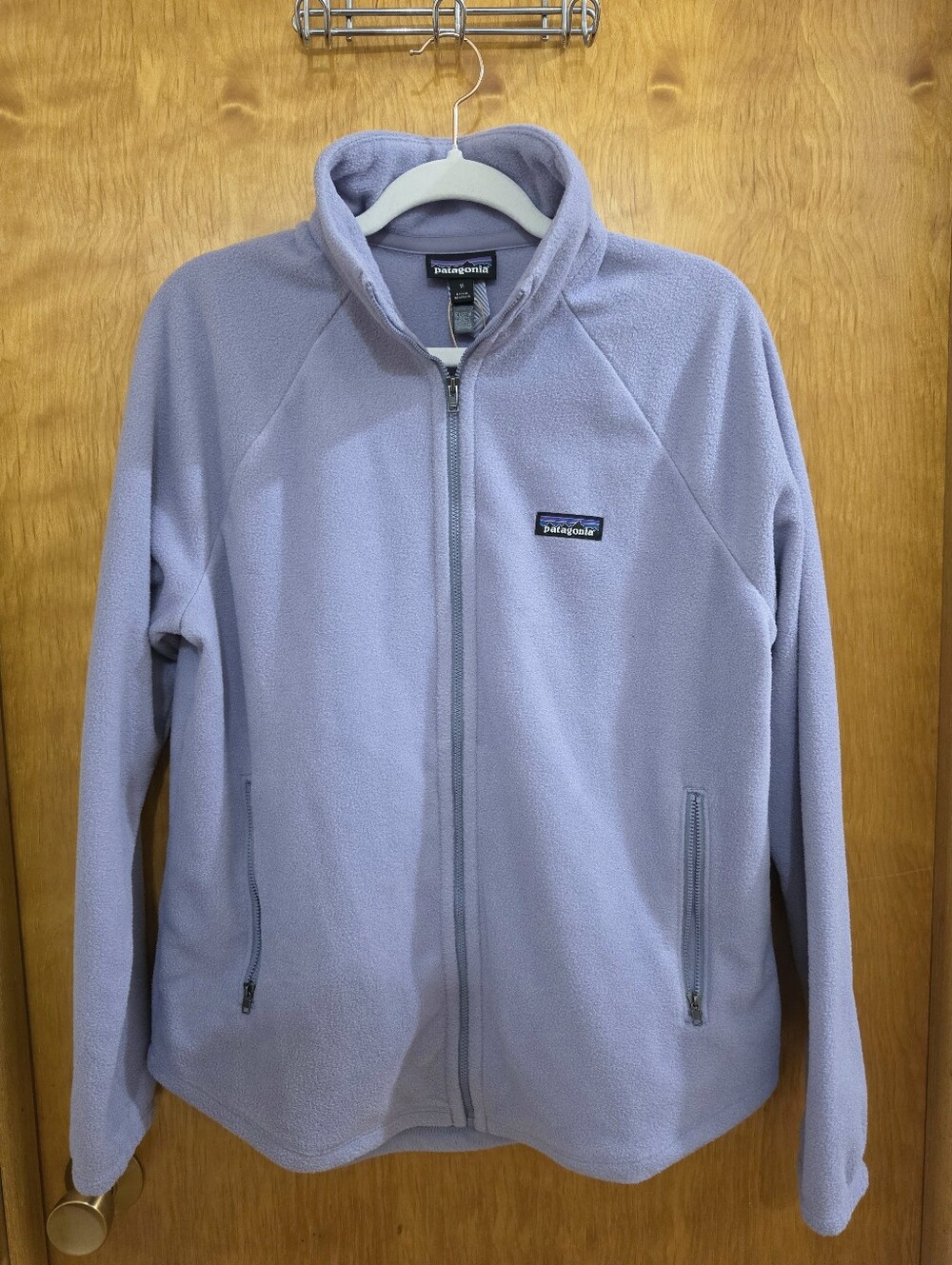 Patagonia Classic Microdini Jacket - Women's Jacket - Permafrost Purple